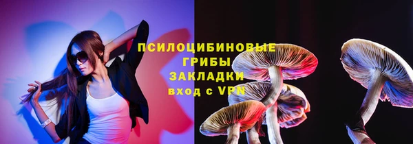 сатива Волоколамск