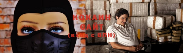 сатива Волоколамск