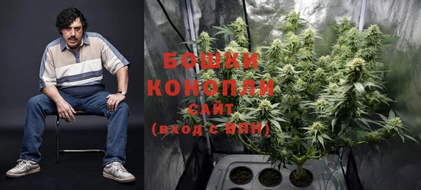сатива Волоколамск