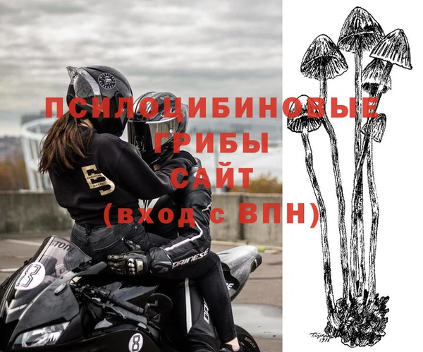 соль курить ск Володарск