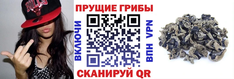Галлюциногенные грибы мухоморы Отрадный